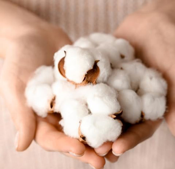 cotton