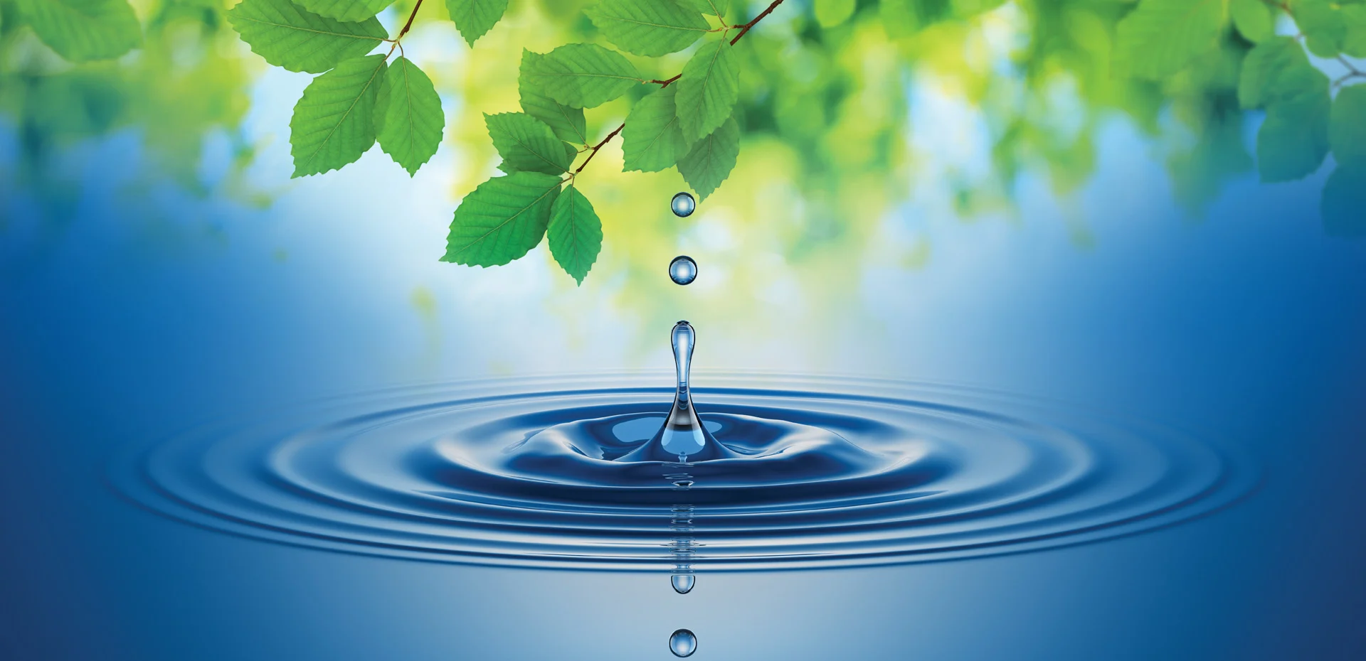 sustainability_1920x930